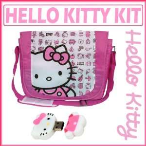   Bag Pink with Hello Kitty 2GB USB Flash Drive: Computers & Accessories