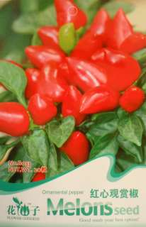 B053 Red Chilly Ornamental Pepper Capsicum Seed Pack  