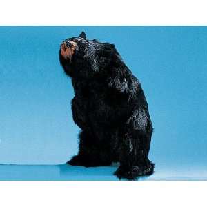  Bear Large Standing Looking Up Collectible Statue Figurine 