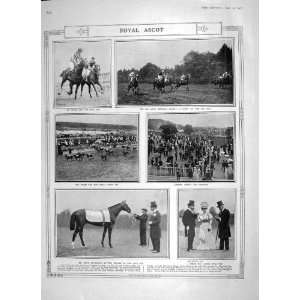  1906 ROYAL ASCOT GOLD CUP HORSE RACE BUTTON BALLET SHIP 