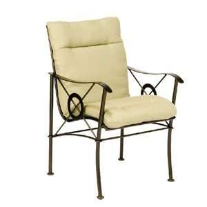   Peyton Dining Arm Chair & Cushion Set   250001+25W018: Home & Kitchen