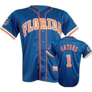  Florida Gators Strike Zone Baseball Jersey Sports 