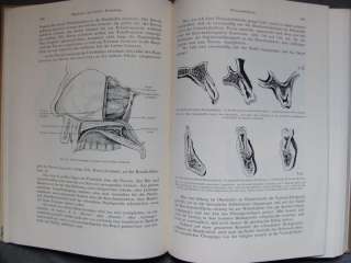   MEDICAL SURGICAL ILLUSTRATED BOOK THE PRACTICAL DENTAL SURGERY  
