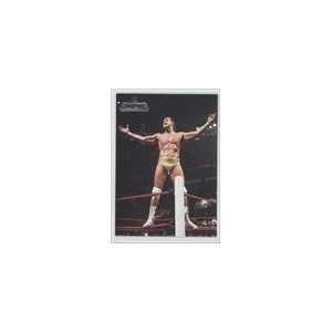   WWE #61   Alberto Del Rio Wins the Royal Rumble: Sports Collectibles